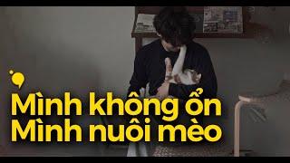 Mình không ổn, nhưng mình nuôi mèo