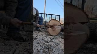 What to do with 5,000 lbs. of pecan logs? #wood #tools #carving #woodworking #bowmaking #bushcraft