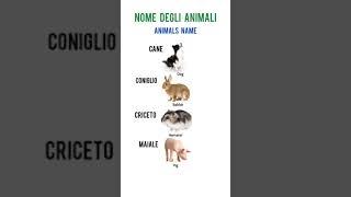 Basic Italian Words| Learn Italian Language  | #learnitalian #italianleague  #italianlanguagecourses