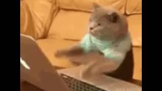 Working, Typing | GIF #Shorts