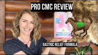 Pro CMC Review / Gastric Relief For Horses