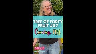Tree of Forty Fruit  #87 ‍🟩