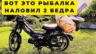 Первый выезд на  рыбалку на мопеде и такая удача наловил два ведра.