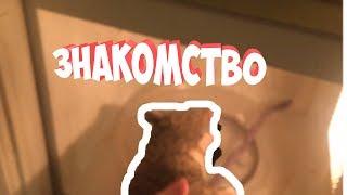 Знакомство