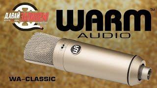 Warm Audio WA-Classic studio microphone (vocals, instruments, voice)