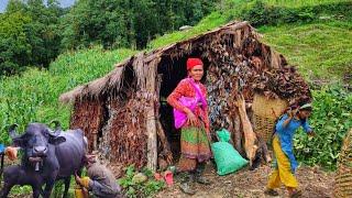 Nepali Village Lifestyle|| Primitive lifestyle|| Rainy Season|| Survivable life| Western Rural Nepal