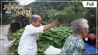 [Full]장수의 비밀 -  털털 할매와 깔끔 할매의 백발 우정20170830