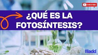 Biología | Fotosíntesis | PAES | Preu Filadd