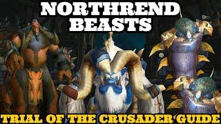 TOC25 Guide - Northrend Beasts - WOTLK Classic