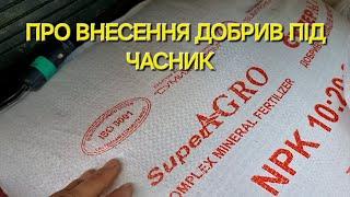 Вичерпно про добрива під посадку. Що вносити і в якій кількості?