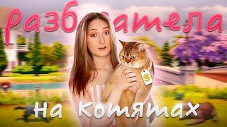 Я разбогатела на продаже котят в Симс 4