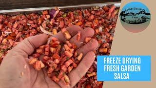 Freeze Drying Fresh Garden Salsa