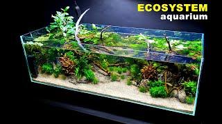 HOW TO: ECOSYSTEM AQUARIUM, NO WATER CHANGES | Full Step By Step Tutorial | MD FISH TANKS