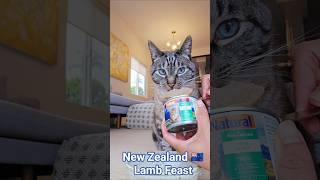 New Zealand  Lamb Feast from Feline Natural (wet cat food taste test)
