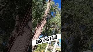 Rigging fail! Rope comes out of my hands…! #treeclimber #treeclimbing #climbingarborist