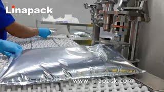 Linapack Bag in Box (BIB) filling and capping machine