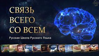 🟢 Прямой эфир. Связь всего со всем. Уроки с 27 по 42. Русская Школа Русского Языка.