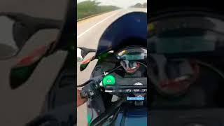 wheelie boy bunny #short video #viral shorts #status
