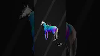 Akhal Teke horse 3D animation by seljukboy