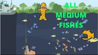 Cat Goes Fishing 2.0 #22. ВСЕ СРЕДНИЕ РЫБЫ / ALL MEDIUM FISHES CHALLENGE!