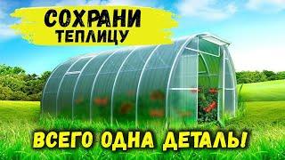 Причины провисания поликарбоната. О важности стрингеров в теплице.