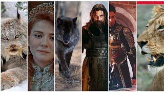 animals that exactly looks like ertugrul cast #ertugrulcast # #ertugrulghazi