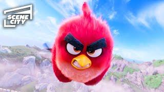 The Angry Birds Movie: Attacking the Castle (FAMILY COMEDY MOVIE HD CLIP)