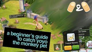 Ragnarok Eternal Love How to Catch Pet Yoyo Monkey Gameplay Beginner Guide Tips Strategies