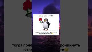 @vmvap — телепорт в сеть.Переходите по ссылке в шапке профиля и скачивайте за минуту