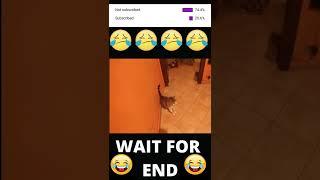 Shot on iPhone Meme #shorts#memes#shotoniphone#adultmemes#funnymemes#lindaH #jokes#trynottolaugh