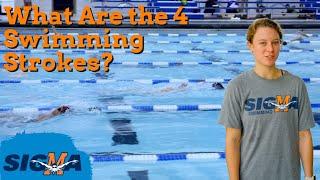 What Are the 4 Swimming Strokes?