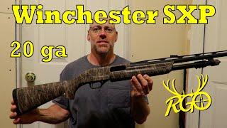 Winchester SXP 20 Gauge Review - RGO #389