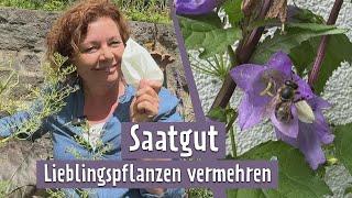 So vermehrst du deine Lieblingspflanzen | MDR Garten