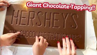 ASMR * Chocolate Tapping & Scratching! Featuring the Littles  ASMRVilla