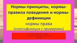 Нормы-принципы, -правила поведения, -дефиниции. ТГП ZNY100