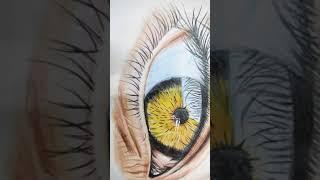 hyper realistic eye drawing with coloured pencils#art #drawing #shorts #