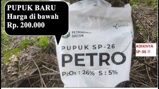 PUPUK BARU KELUARAN PETROKIMIA SP-26, pupuk terbaik untuk tanaman sawit agar berbuah lebat.