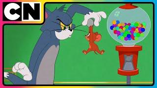 Tom and Jerry | Jerry the Troublemaker | Cartoon for Kids | Only on Cartoon Network India