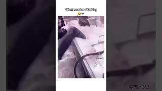 #meme #funny #humor #laugh #memestiktok #viralvids #videos #ohmygod #funnyvideos #jokes #memetok