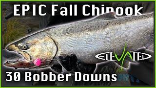 EPIC Fall Chinook Fishing MASSACRE | Centerpin Bobber Downs | 2024 Ep. 04