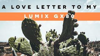 Long Term Lumix GX80/GX85 Review  // 2 Years