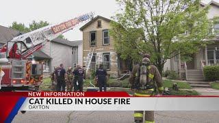 Cat killed in Dayton house fire