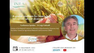 INRA Webinar: “A global platform for leveraging tetraploid wheat diversity”