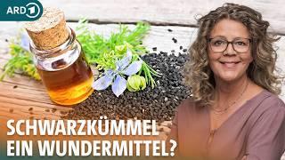 Schwarzkümmel: Welche Wirkung haben Samen und Schwarzkümmelöl auf die Gesundheit? | ARD GESUND