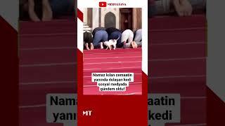 #Namaz kılan #cemaat in yanında dolaşan #kedi #sosyalmedya da gündem oldu! #haber #shorts