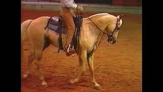 "You and Your Horse" VHS from 1986