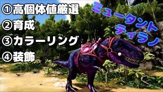 ARK コマンドを使って自分好みの最強生物を作る方法