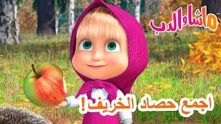 ماشا والدب ‍️ اجمع حصاد الخريف!   سلسلة جديدة 26 سبتمبر!  Masha and the Bear