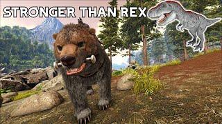 DIRE BEAR | THE FIRST DINO YOU SHOULD TAME | Ark Survival Evolved