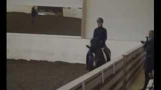 Samba Queen S i. Sir Donnerhall ei. Lord Liberty